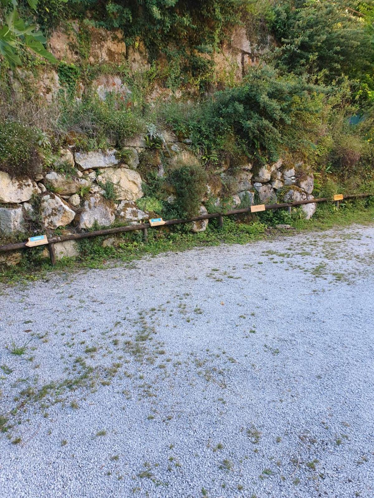 Residence Les Trois Jardins Avec Wifi Et Parking Gratuit Sarlat-la-Caneda Bagian luar foto