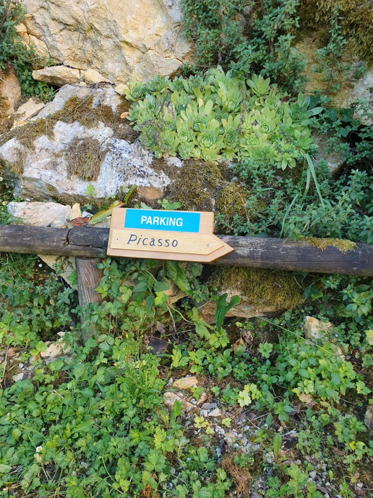 Residence Les Trois Jardins Avec Wifi Et Parking Gratuit Sarlat-la-Caneda Bagian luar foto